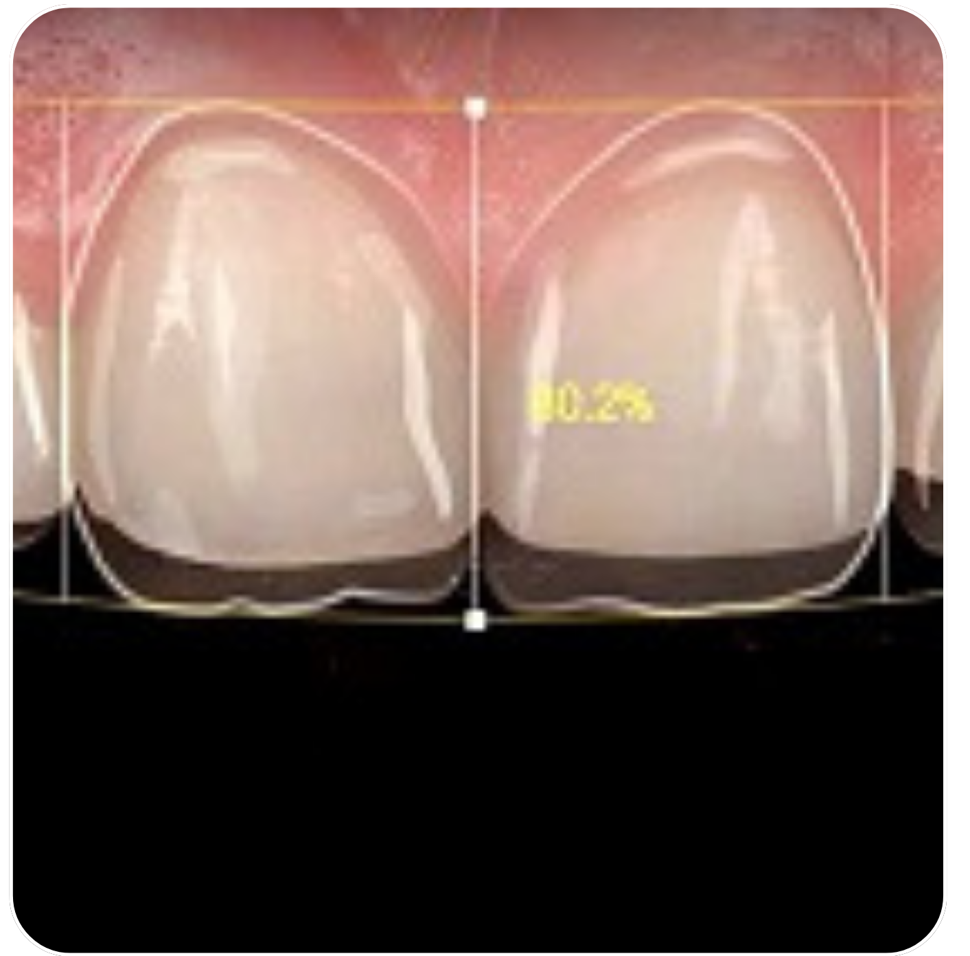 Copy of Company Profile (1)