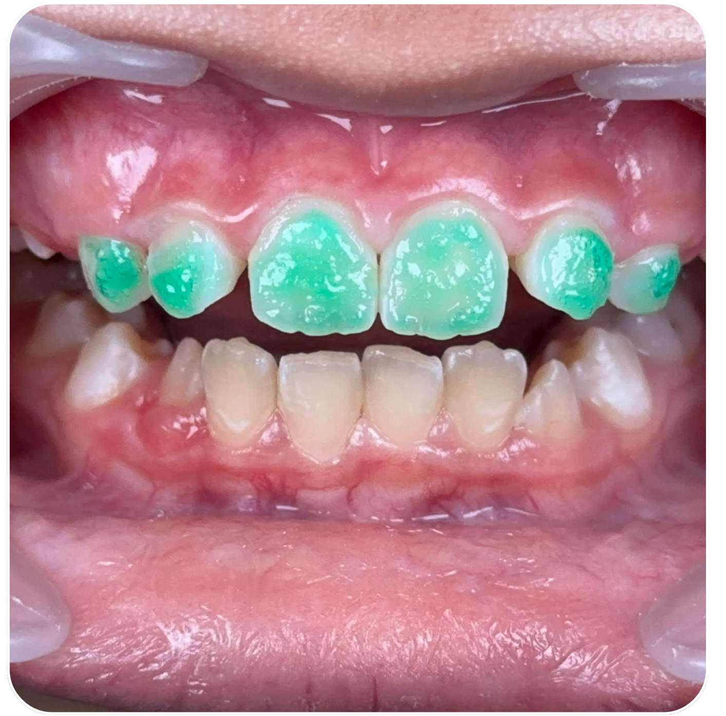 Copy of Company Profile (6)