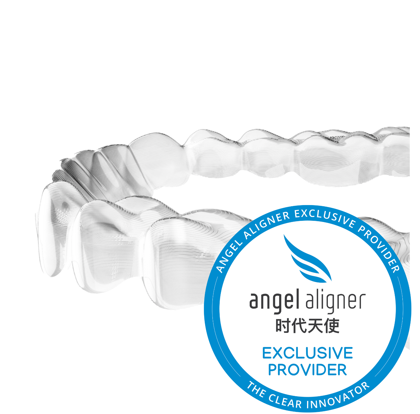 Copy of Company Profile